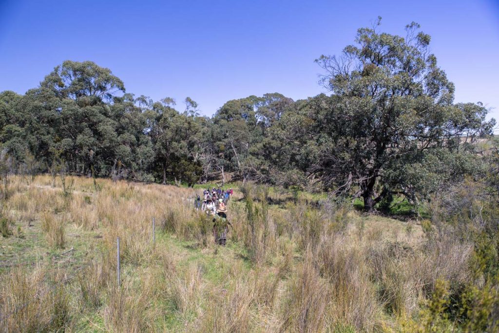 Bald Hill Creek, Strathbogie Walk - Photo by AT Aerial Services