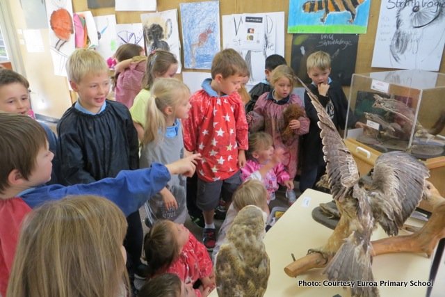 Wild Strathbogie Art – Schools lead the way.
