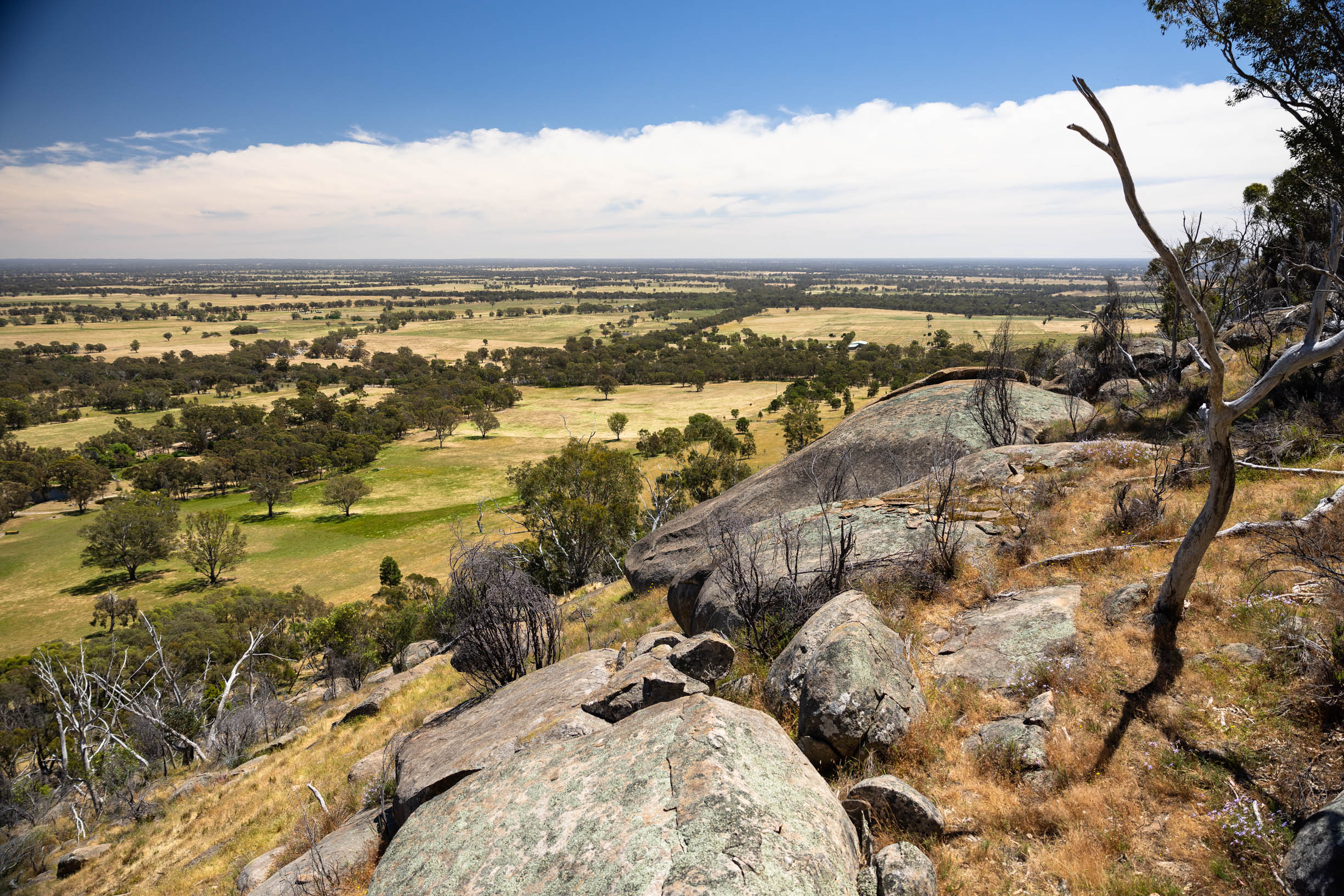 Lost Reserves of the Strathbogie Ranges – Big Hill Walk