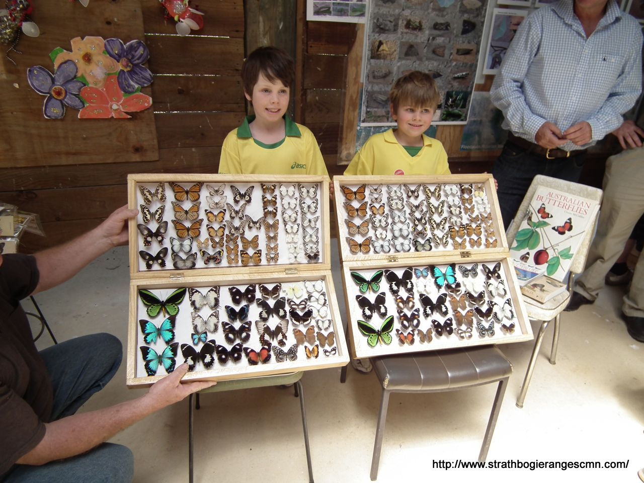 2013 Butterfly Festival – Euroa Arboretum