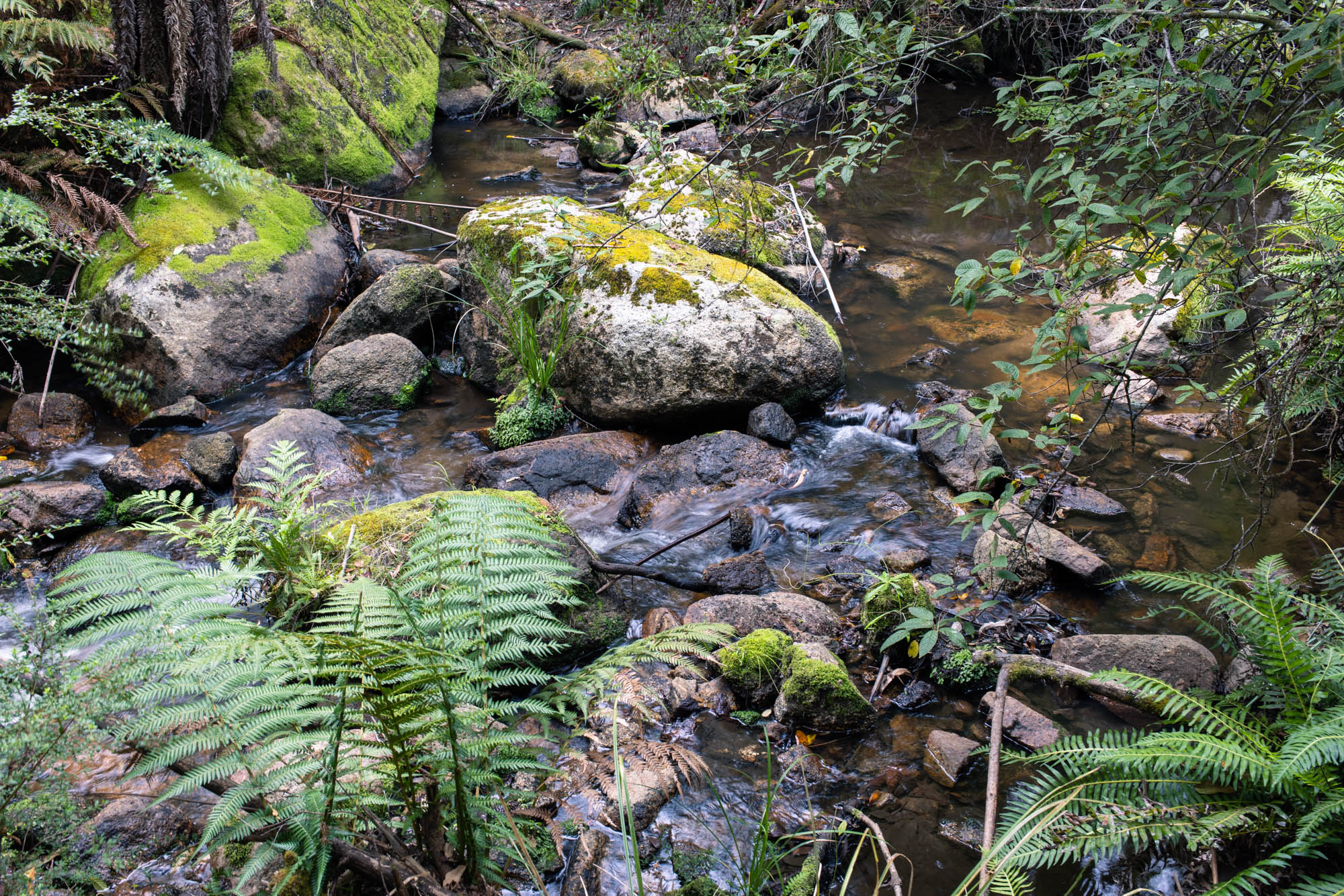 Adventures in Nature – Rocky Ned Falls, Strathbogie Forest