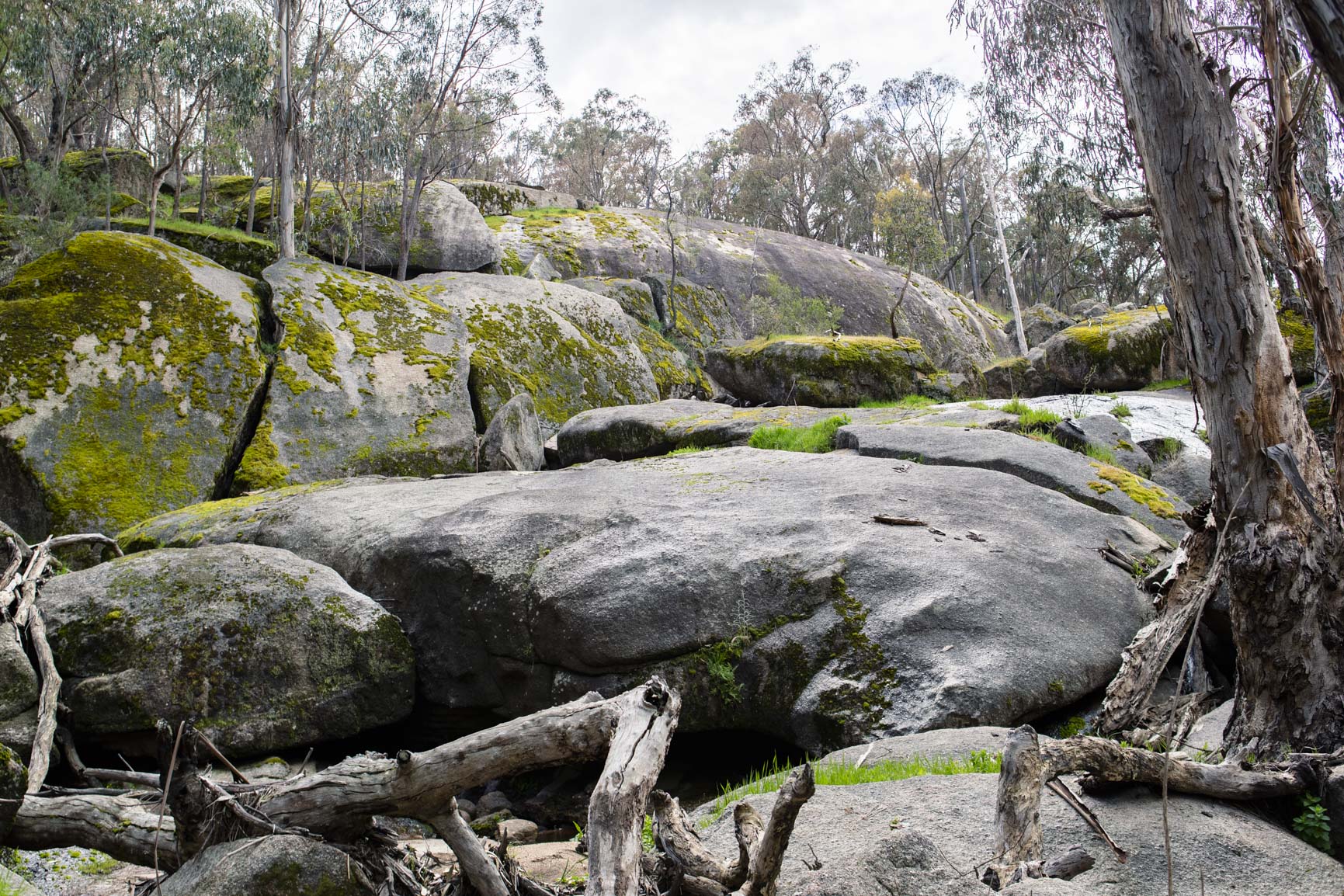 Riparian Walk #3.2 – Wombat Creek, Strathbogie