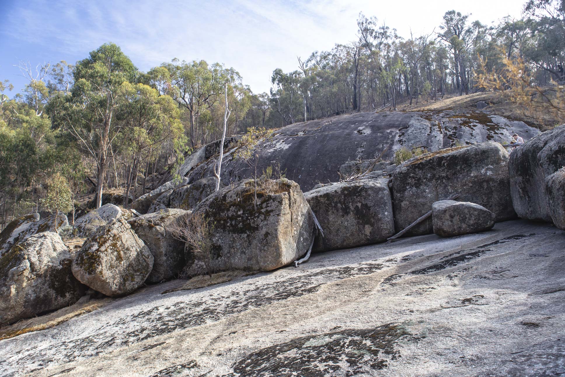 Riparian Walk #2 – Wombat Creek