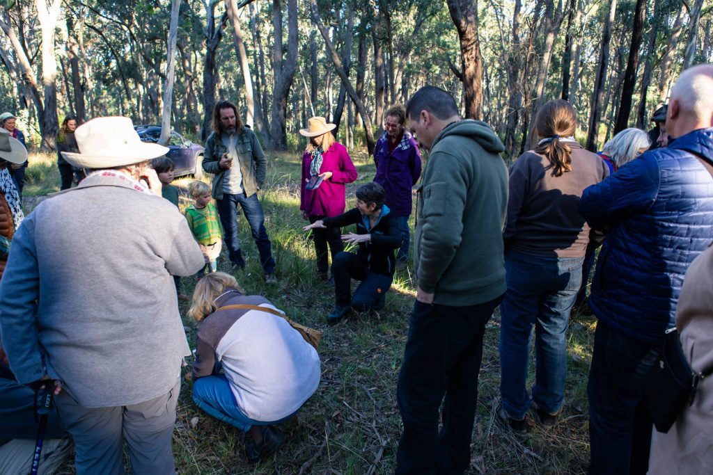 Mount Wombat fungi foraging