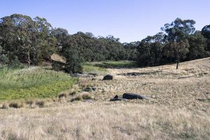Bald Hill Creek, Strathbogie Walk - Photo by AT Aerial Services
