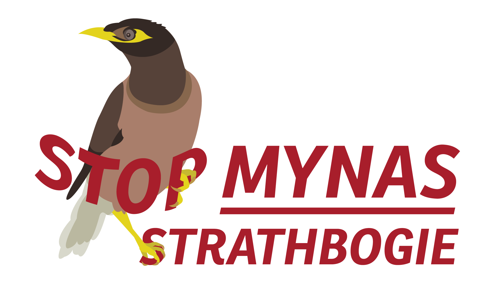 Stop Mynas Strathbogie
